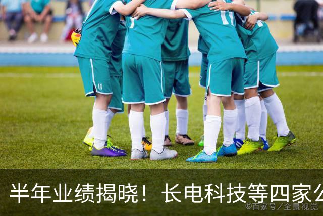 半年业绩揭晓！长电科技等四家公司未来展望分析